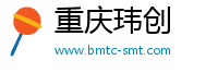 重庆玮创